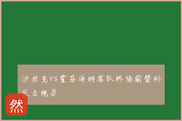 沙尔克vs霍芬海姆客队终场前替补反击绝杀